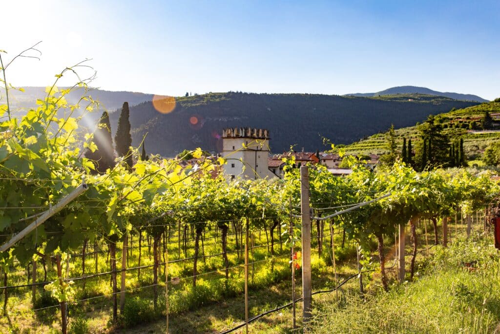 The Valpolicella Wine Region in Verona, Italy