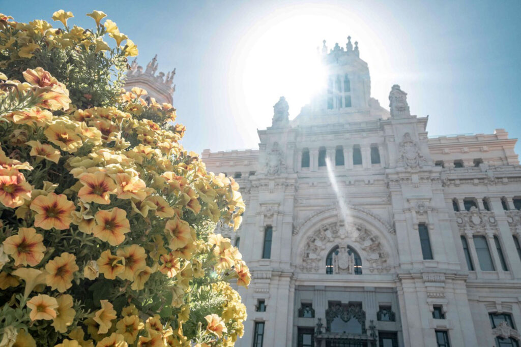 With yellow flowers in the foreground, light floods the facade of the Almudena Cathedral in Madrid, one of the most famous Cathedrals in Spain