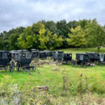 Retired Amish Buggies sit in a line on green grass with a forest rising in the background and a gray sky.